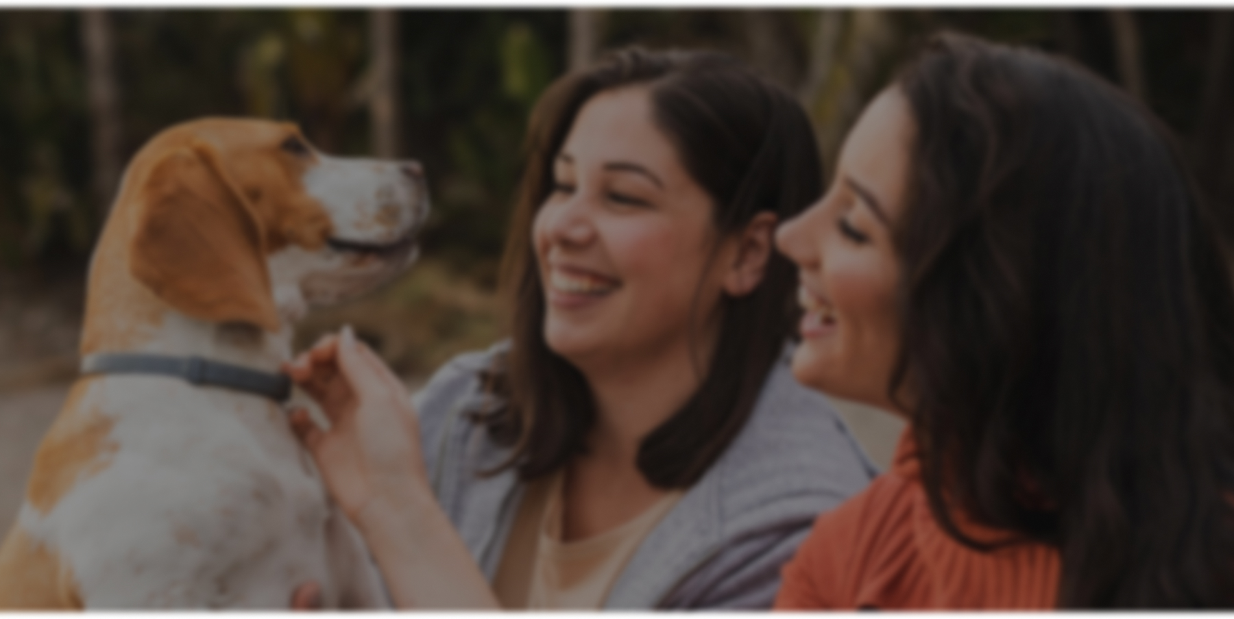 Woman hugging a husky dog